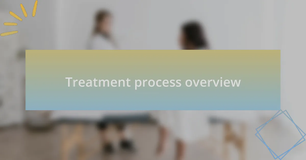Treatment process overview