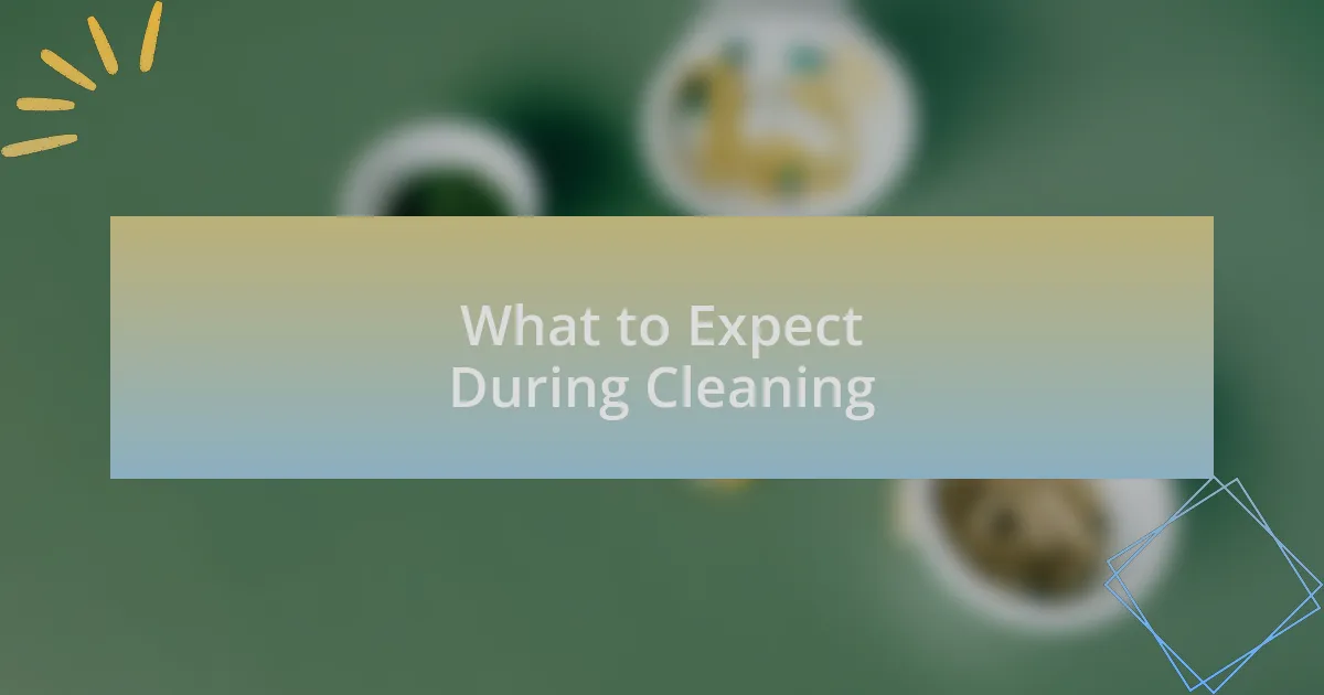 What to Expect During Cleaning